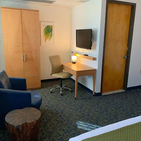Ficus Hotel-3